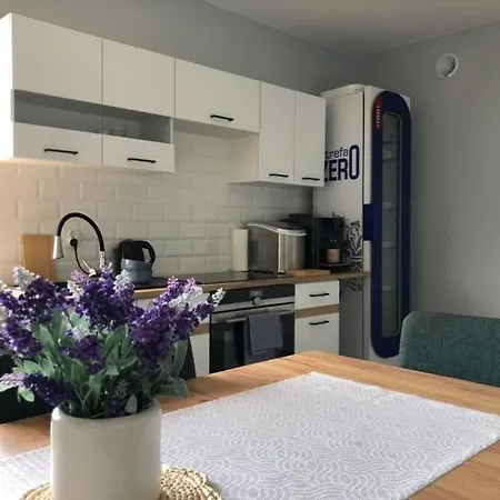 Apartamenty Przy Skwerku Sztutowo Esterno foto